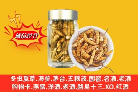汝城县回收散虫草